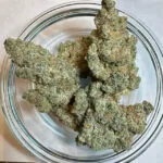 Orange Push Pop THCa Flower