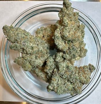 Orange Push Pop THCa Flower