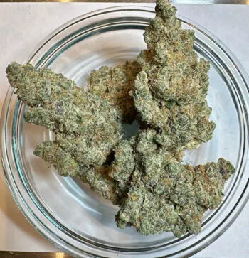 Orange Push Pop THCa Flower