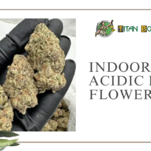 Indoor Acidic Hemp Flower