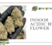 Indoor Acidic Hemp Flower