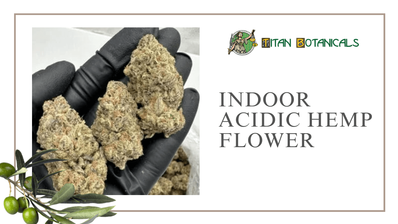 Indoor Acidic Hemp Flower