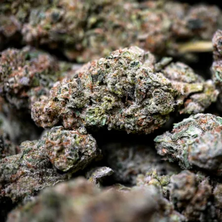 Banana Kush Strain