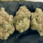 Aye Papi Strain