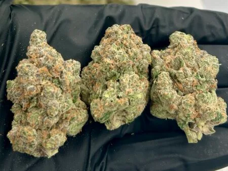 Aye Papi Strain