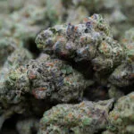 Baby Yoda Strain
