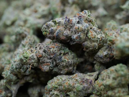 Baby Yoda Strain