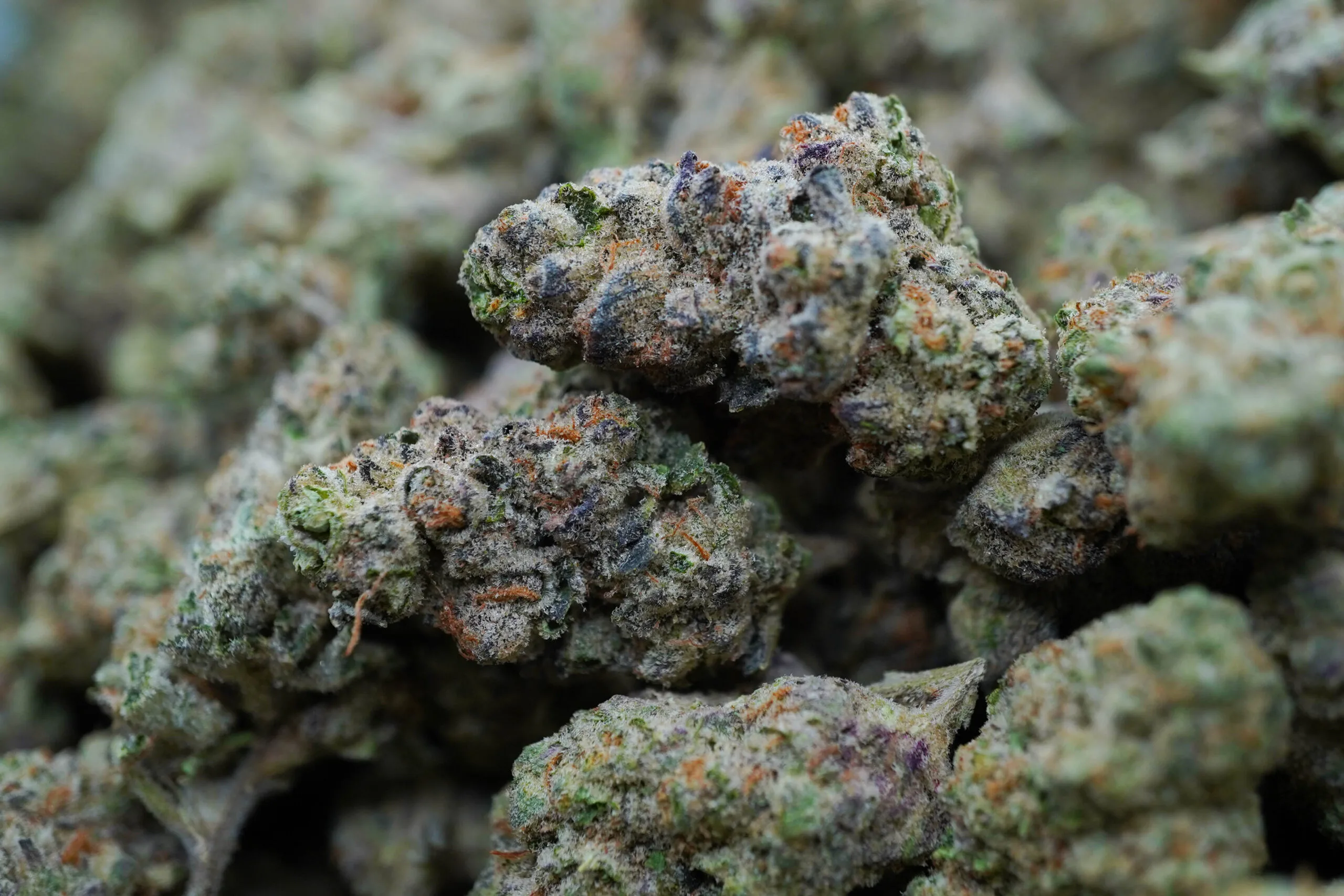 Get The Premium Baby Yoda Strain At Titan Botanicals Baby Yoda Strain