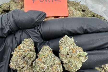 Black Runtz THCa Flower