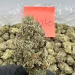 gelato thca flower