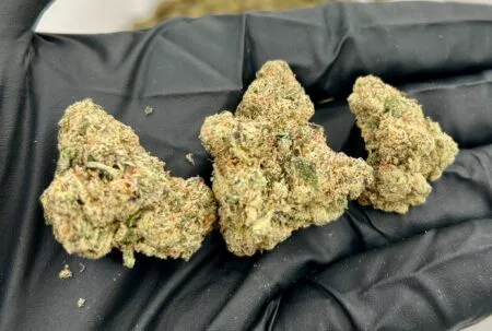 Gelato Runtz strain