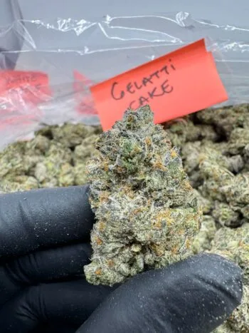 gelatti cake strain​