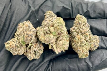 LA Kush Cake Strain