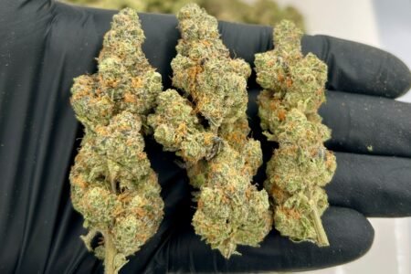 Meat Breath Strain