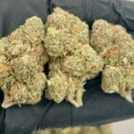 Peanut Butter Souffle Strain