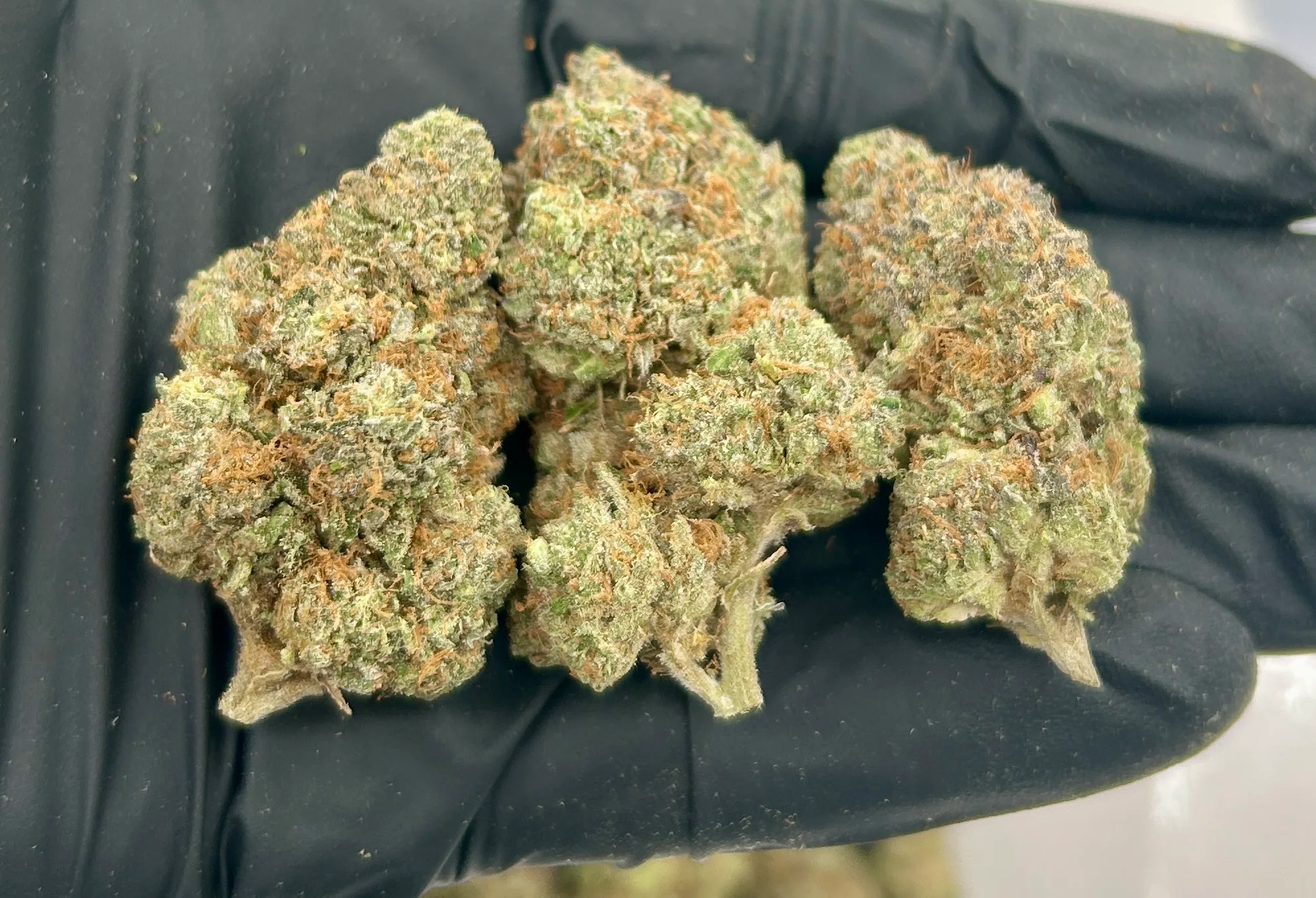 Buy Premium Peanut Butter Souffle Strain Now At Titan Botanicals. Peanut Butter Souffle Strain