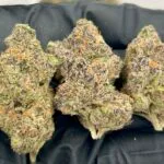 Quicksand Strain
