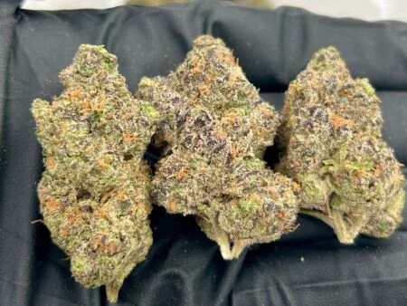 Quicksand Strain