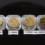 Peaches And Cream Rosin