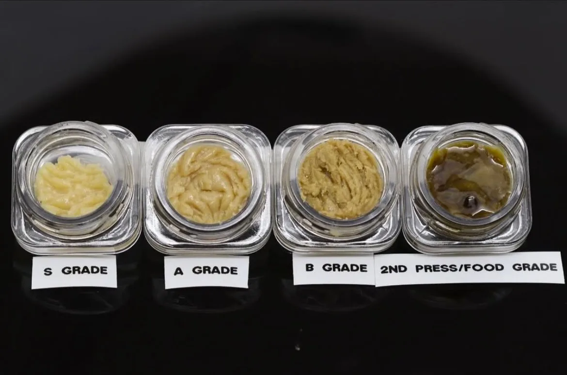 Peaches And Cream Rosin