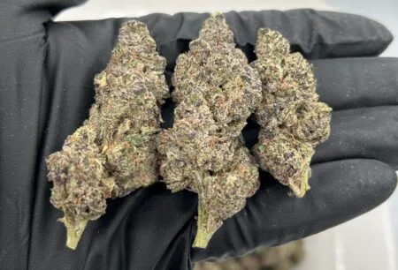 Bolo Runtz Strain