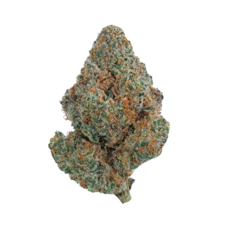 Tangilope THCa Flower