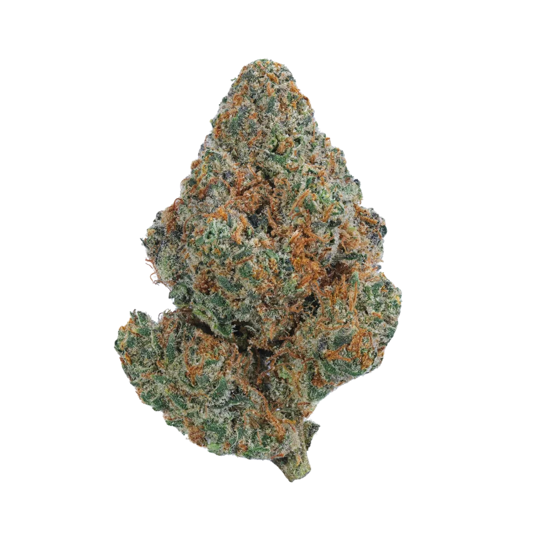 Premium Tangilope THCa Flower Only at Titan Botanicals Tangilope THCa Flower