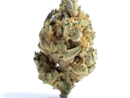 berry-blaze-strain
