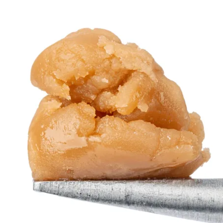 Buy Berry Blaze Live Rosin Wholesale | Titan Botanicals Berry Blaze Live Rosin