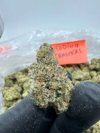 wedding crasher strain​