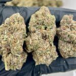 White Guava THCa Flower