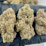 White Guava THCa Flower