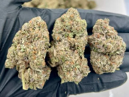 White Guava THCa Flower