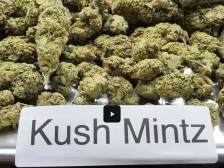 Kush Mintz