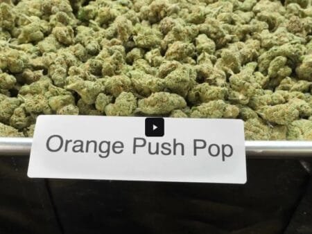 Orange Push Pop