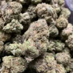 g mochi strain