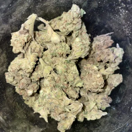 Grape Jelly Strain