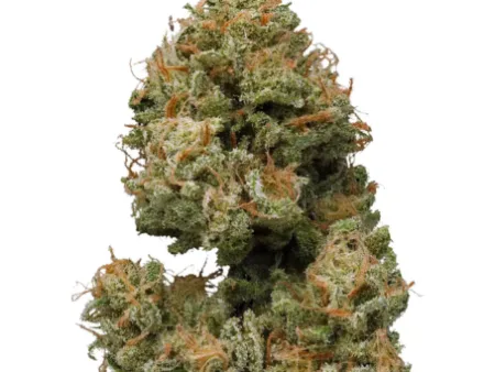 Sugar Mama Strain