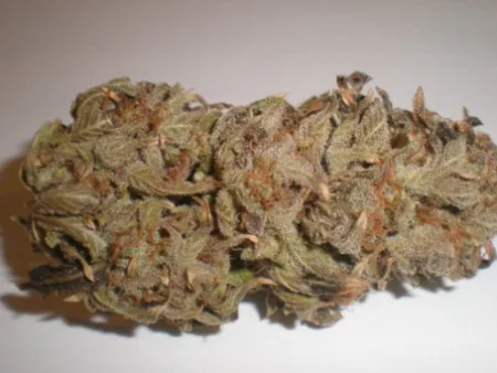 Lung Candy THCa Flower