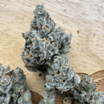 lemon cherry sherbet strain