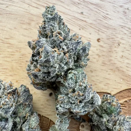 lemon cherry sherbet strain