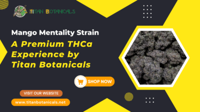 Mango Mentality Strain