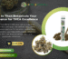 THCA Products