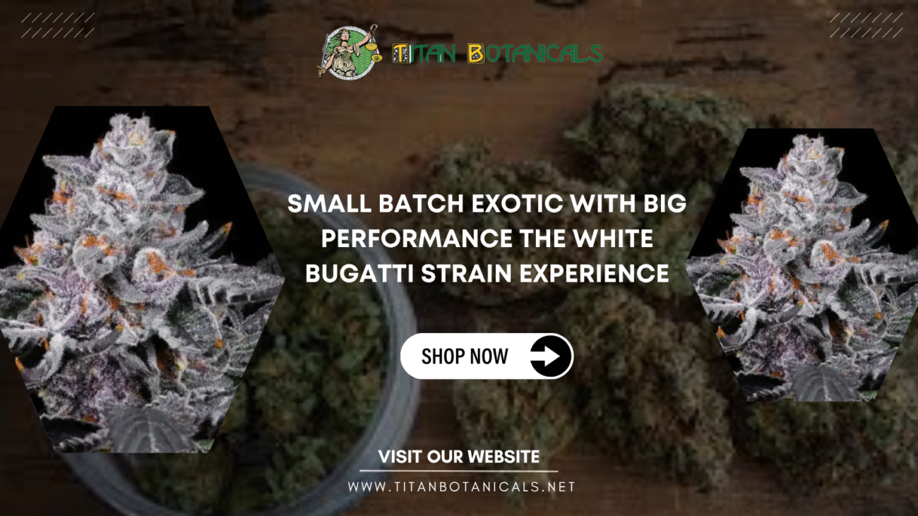 White Bugatti Strain