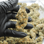 Fruity Pebbles THCA Flower