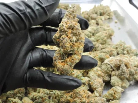 Fruity Pebbles THCA Flower