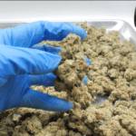 Dante's Inferno THCA Flower